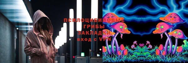 мяу мяу мука Михайловск
