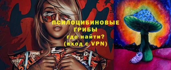 мяу мяу мука Михайловск