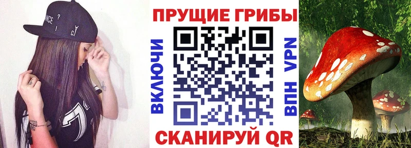 что такое наркотик  Циолковский  Галлюциногенные грибы Psilocybine cubensis 